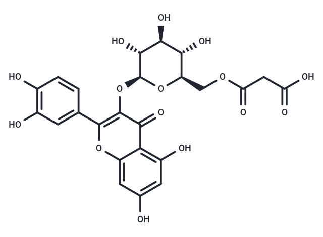 槲皮素3-O-(6"-O)-D-吡喃葡萄糖苷|T123838|TargetMol