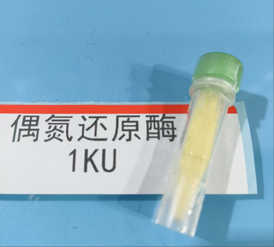 偶氮还原酶 9029-61-4