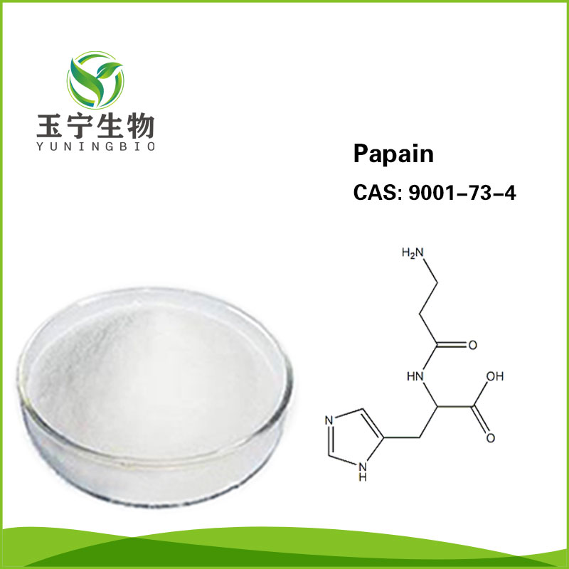 木瓜蛋白酶  9001-73-4