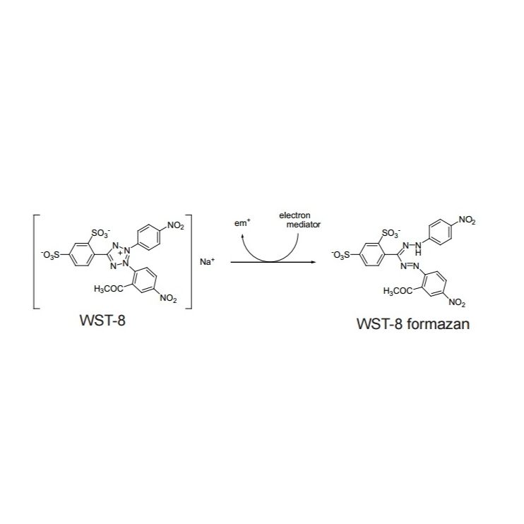 细胞增殖及毒性检测试剂盒(CCK-8)