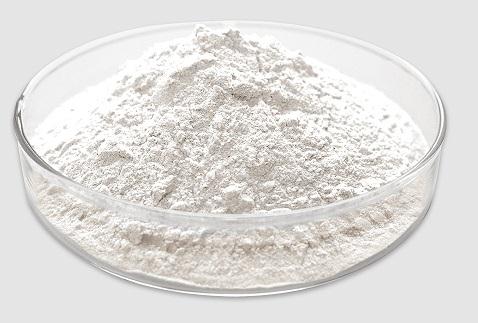 烟酰胺核糖氯化物