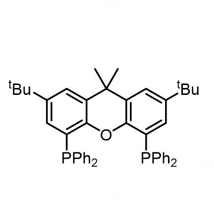 (2,7-二叔丁基-9,9-二甲基-9H-蒽-4,5-二基)双(二苯基膦) 221462-97-1