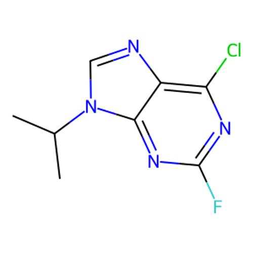 6-氯-2-氟-9-丙基-2-丙嘌呤