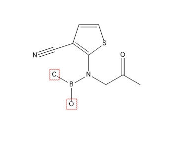 2-（（（l1甲基）（l1氧化基）硼烷）（2-氧代丙基）氨基）噻吩-3-腈