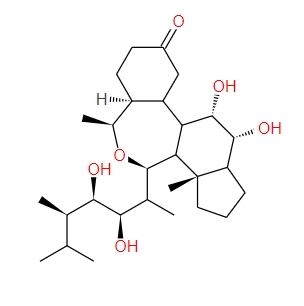 表油菜素内酯78821-43-9
