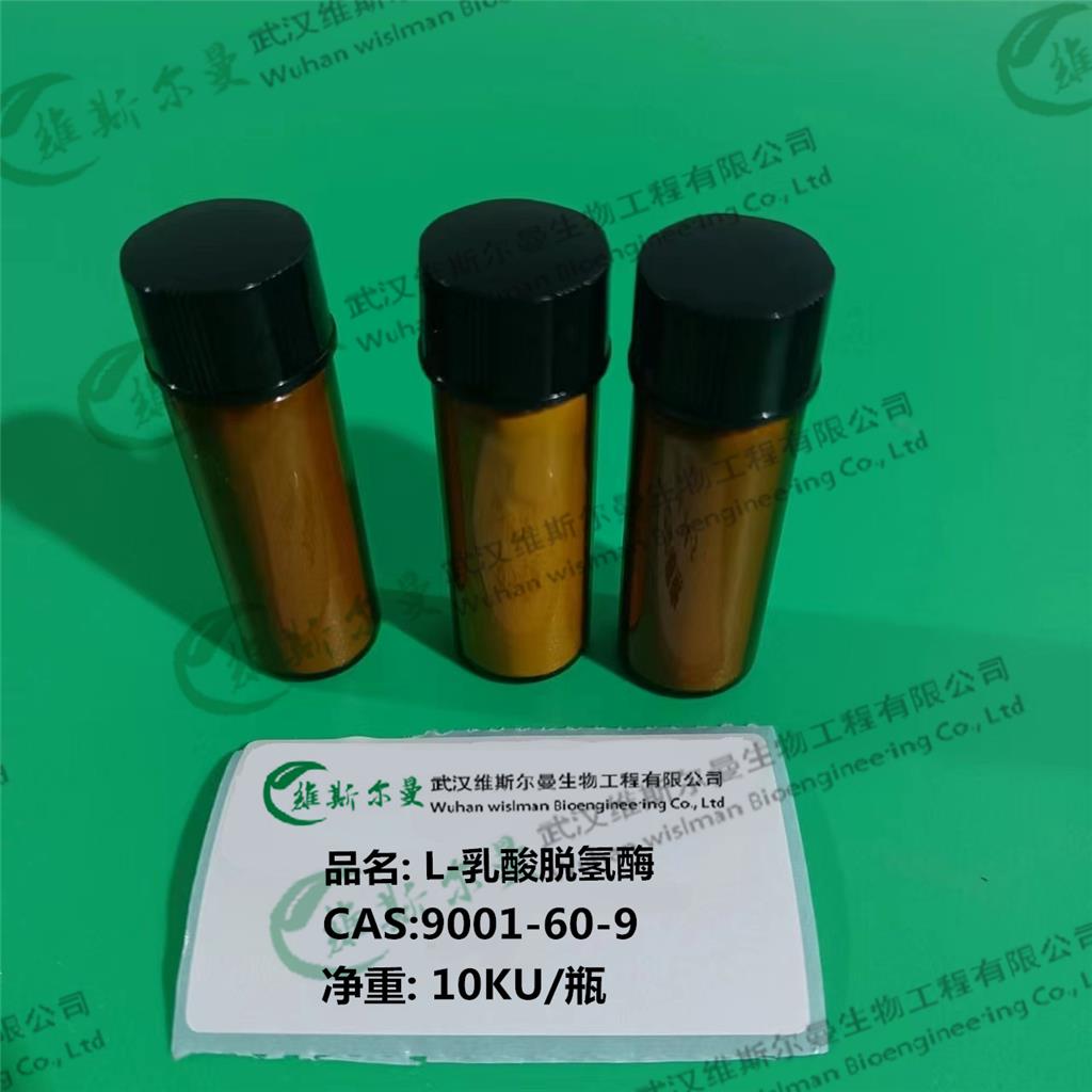 L-乳酸脱氢酶 9001-60-9  酶活力300U/mg  酶类试剂  维斯尔曼生物-王明