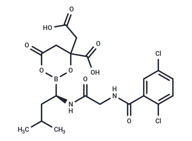 化合物 Ixazomib Citrate analogues|T2016|TargetMol