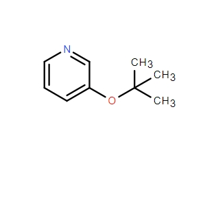 3-(叔丁氧基)吡啶