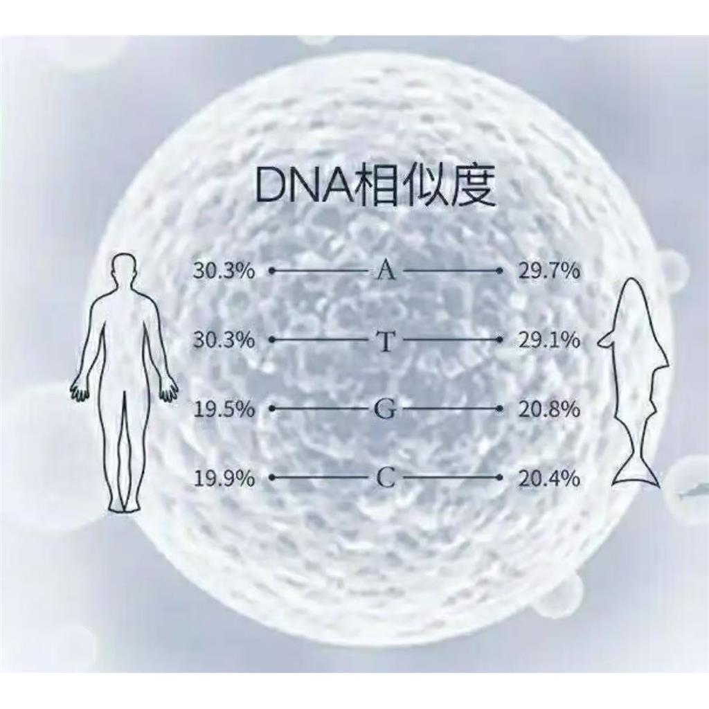 多聚脱氧核糖核苷酸/PDRN
