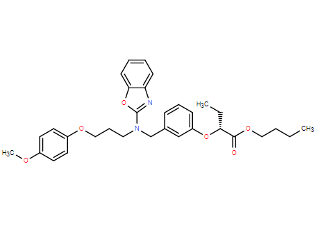 佩玛贝特杂质07