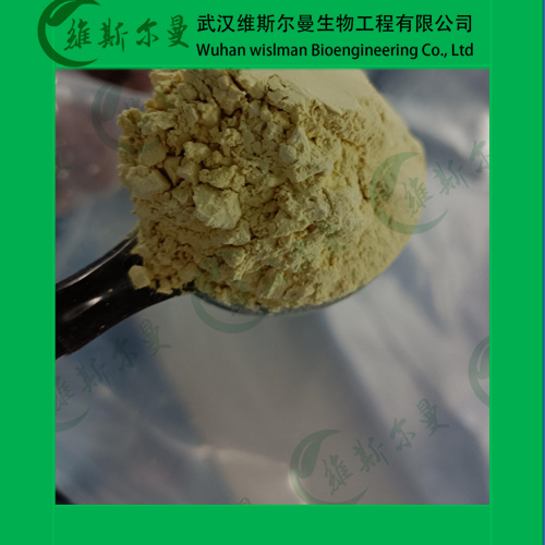 盐酸米诺环素