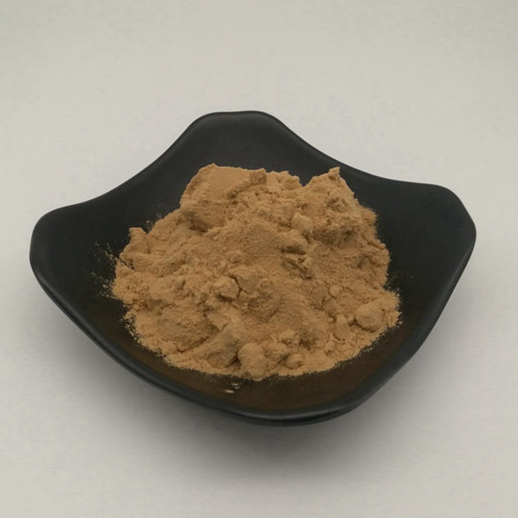 黄连提取物 黄连素 浓缩喷雾干燥粉 水溶性