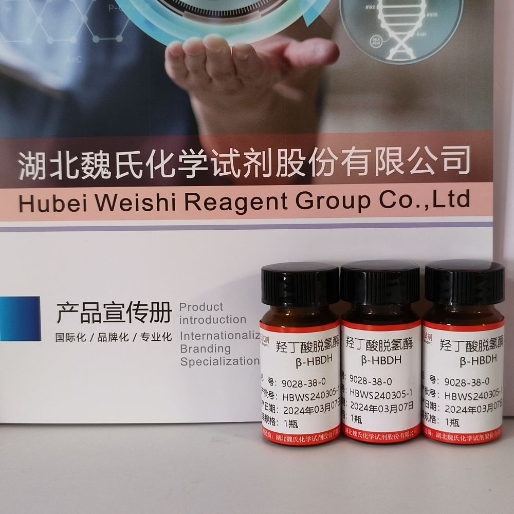 D-3-羟丁酸脱氢酶9028-38-0
