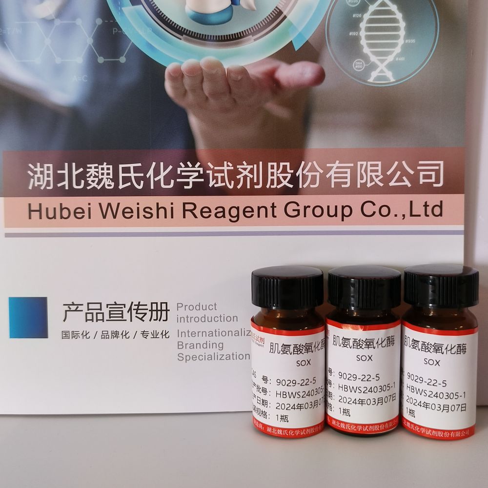 肌氨酸氧化酶9029-22-5