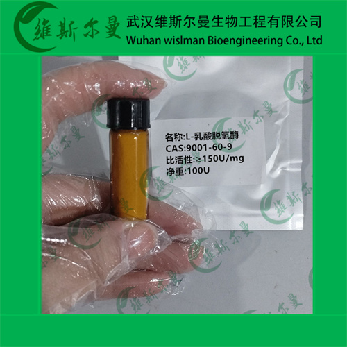 ?L-乳酸脱氢酶-9001-60-9-酶类化学试剂-丨辅酶丨催化剂丨科研试剂丨-找维斯尔曼王华