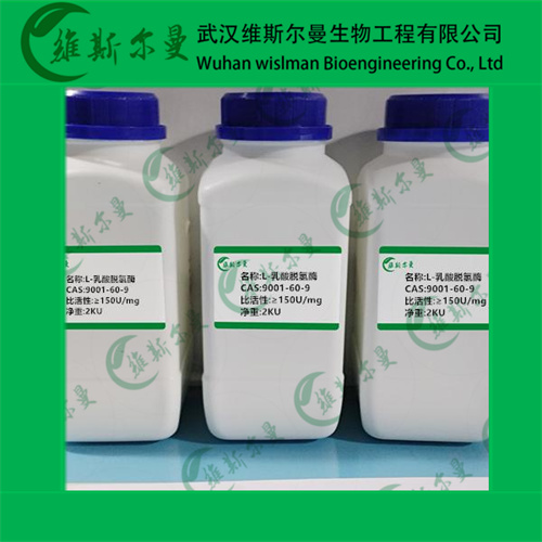 ?L-乳酸脱氢酶-9001-60-9-酶类化学试剂-丨辅酶丨催化剂丨科研试剂丨-找维斯尔曼王华