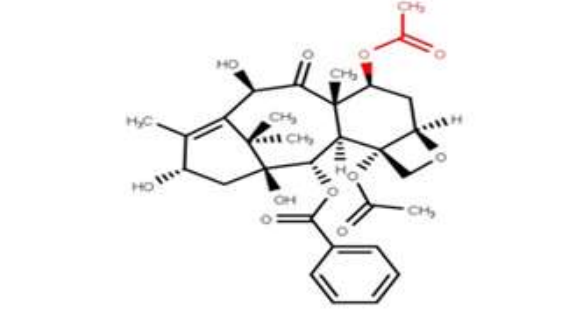 7-乙酰基-10-DAB(PPM -2A)