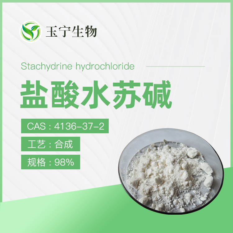 盐酸水苏碱 4136-37-2