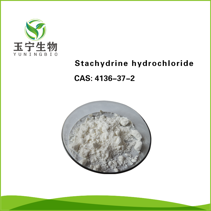 盐酸水苏碱 4136-37-2