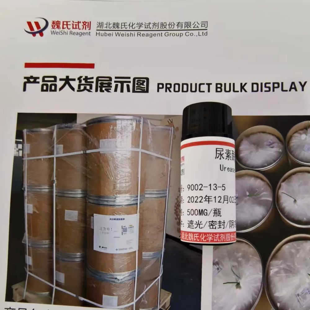 尿素酶9002-13-5