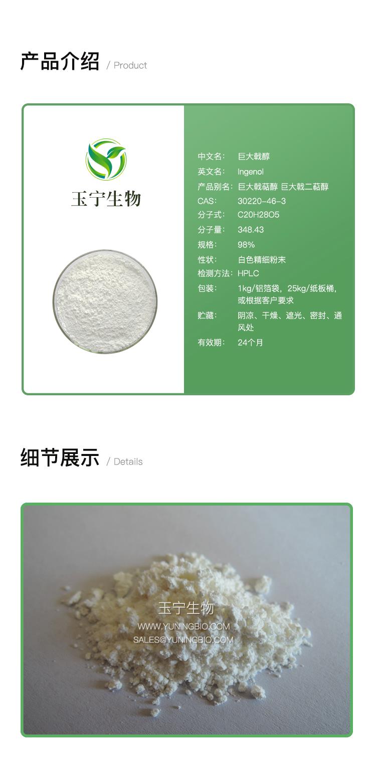 详情页模版_01.jpg 详情页模版_01.jpg