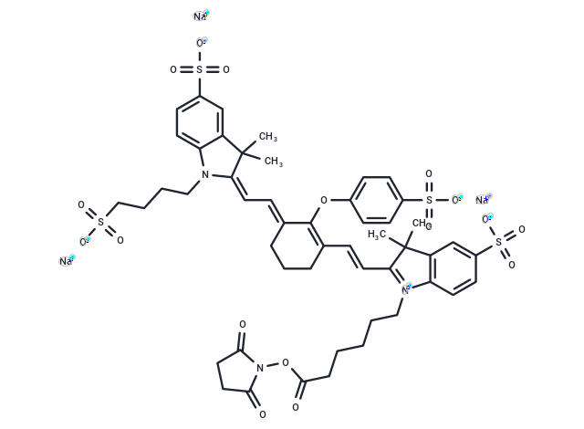 化合物 800CW NHS ester|T85524|TargetMol