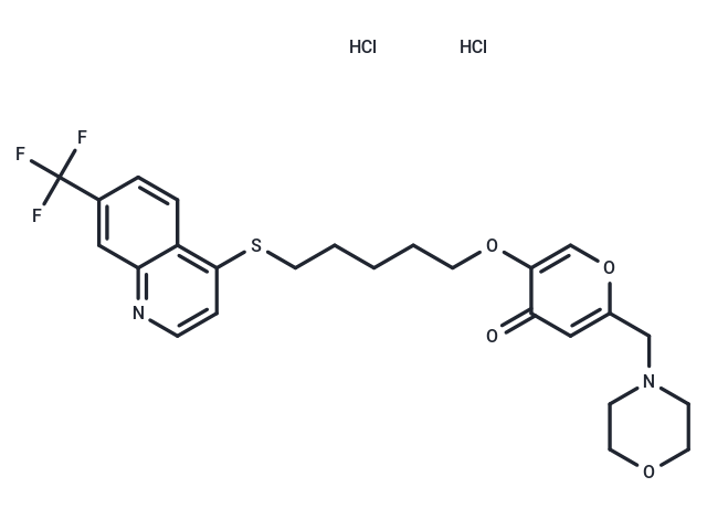 化合物 EHT 1864 2HCl|T6483|TargetMol