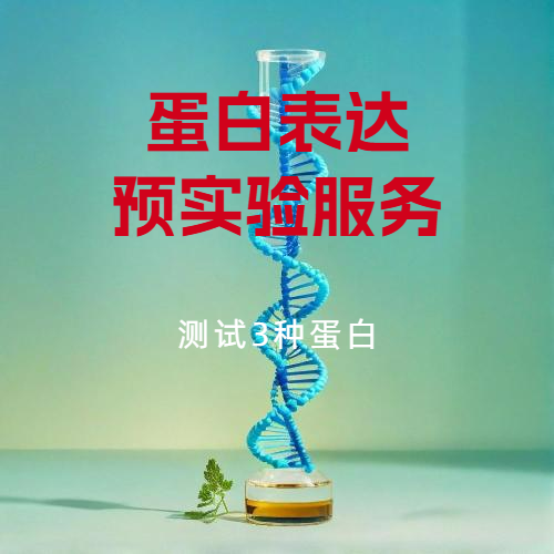 蛋白表达预实验服务