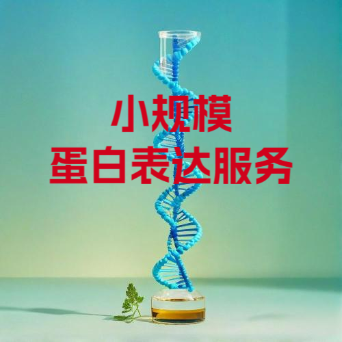 小规模蛋白表达服务