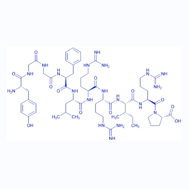 Dynorphin A (1-10)/79994-24-4/强啡肽A(1-10)