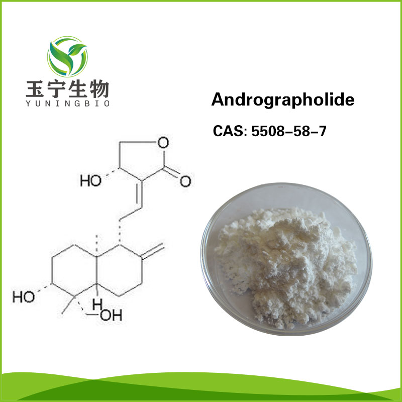 穿心莲内酯  5508-58-7