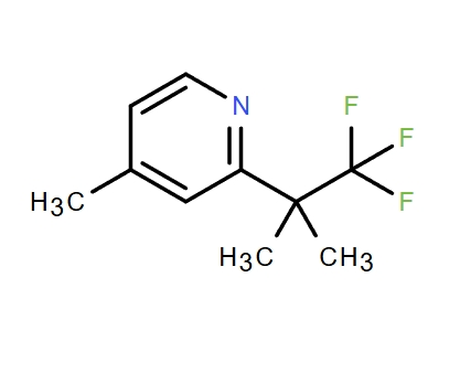 4-甲基-2-(1,1,1-三氟-2-二甲基-2-乙基)吡啶