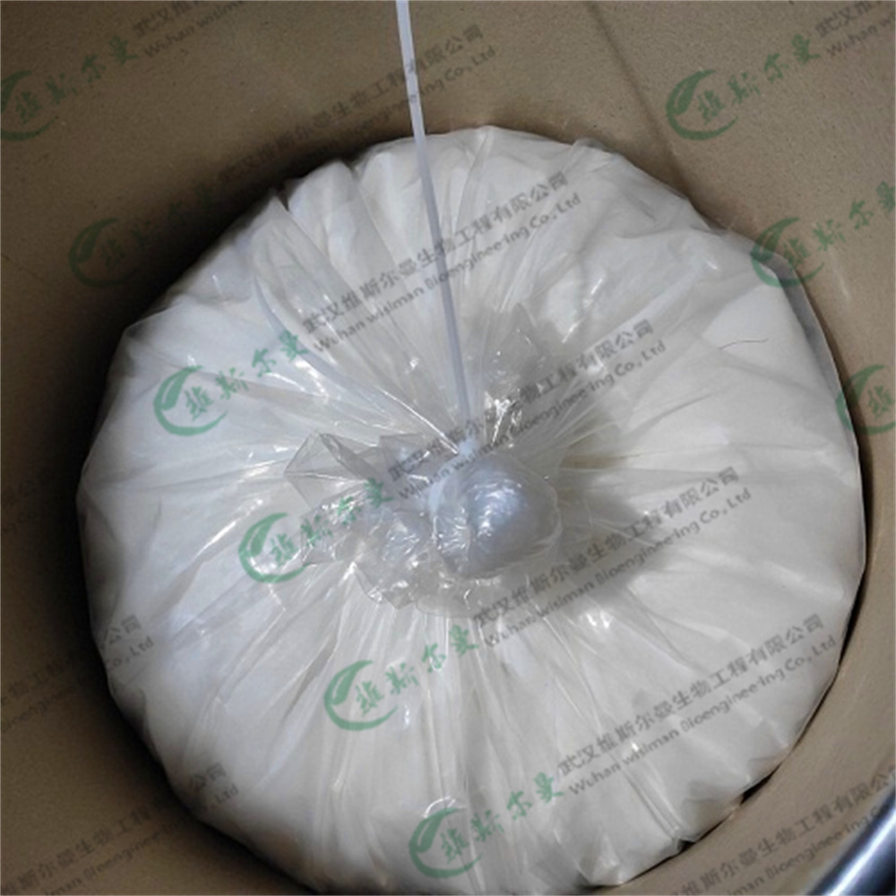 2'-氟-2'-脱氧腺苷 64183-27-3 中间体|合成工艺|科研试剂 维斯尔曼生物-王明