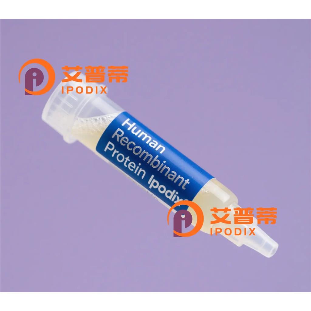 Rabbit Polyclonal GRPR Antibody