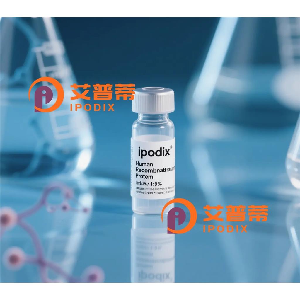 Rabbit Polyclonal GJB2 Antibody