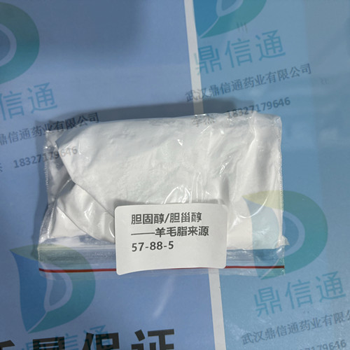 胆固醇；胆甾醇