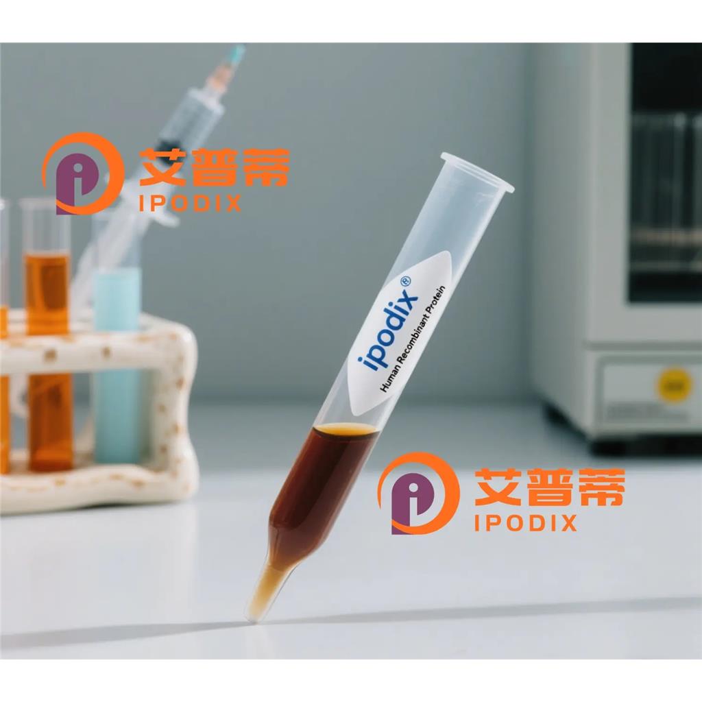 Rabbit Polyclonal LRPAP1 Antibody