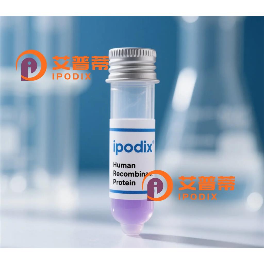 Rabbit Polyclonal PRMT5 Antibody