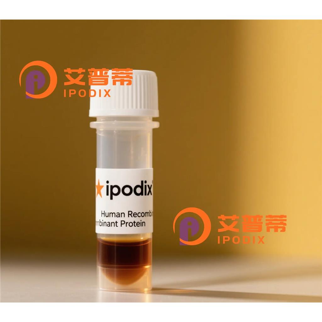 Rabbit Polyclonal PRDX2 Antibody