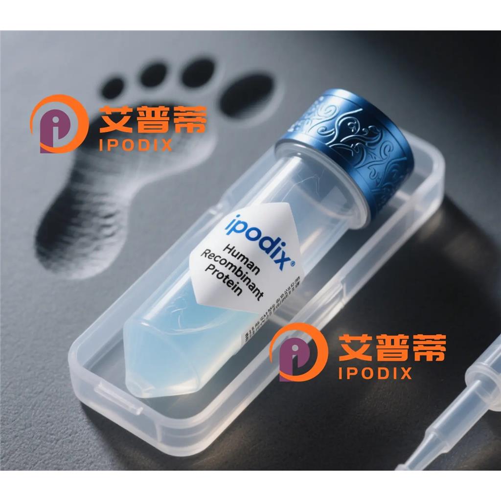 Rabbit Polyclonal RAD52 Antibody