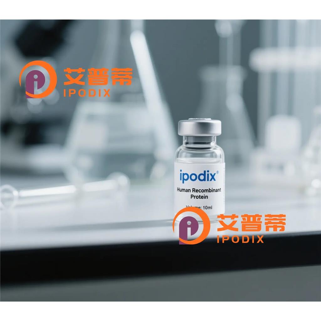 Rabbit Polyclonal SOX1 Antibody