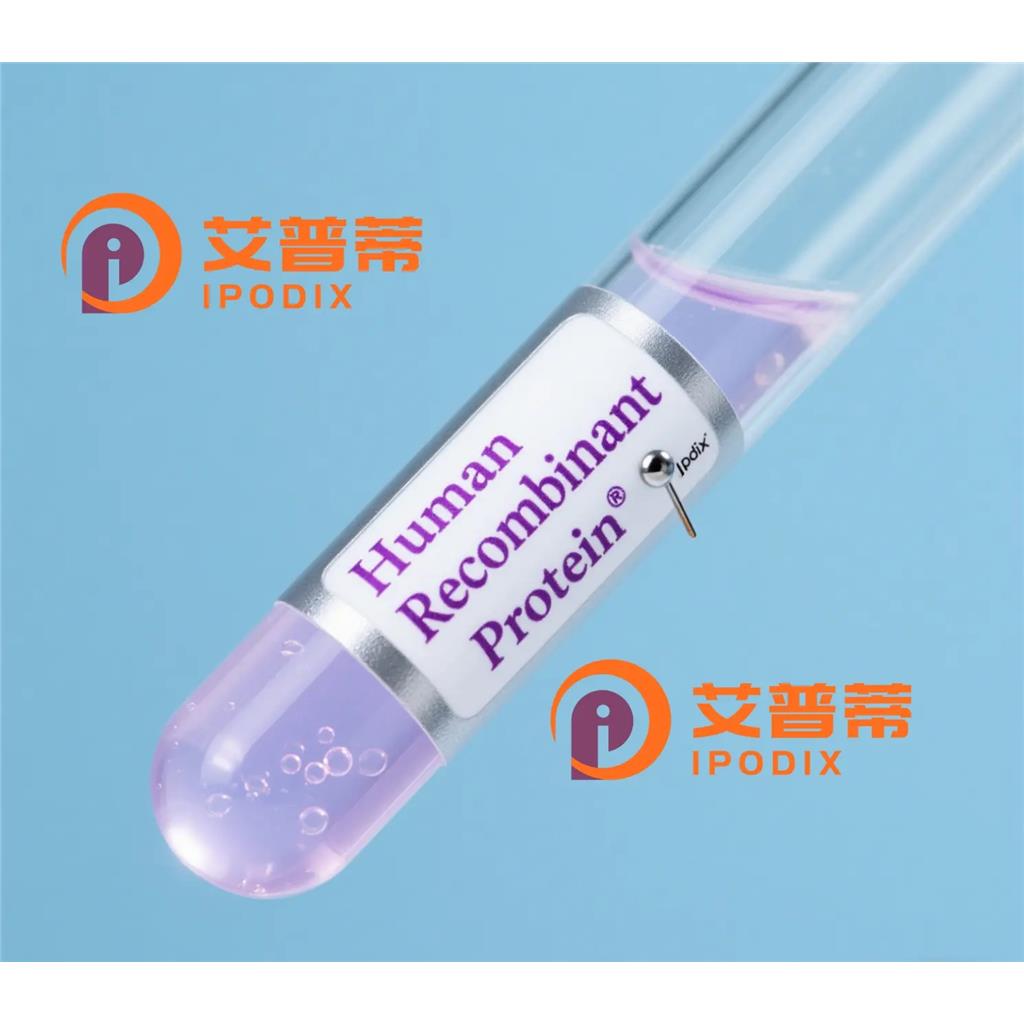 Rabbit Polyclonal MOB1B Antibody