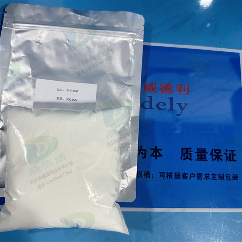 雷帕霉素；西罗莫司