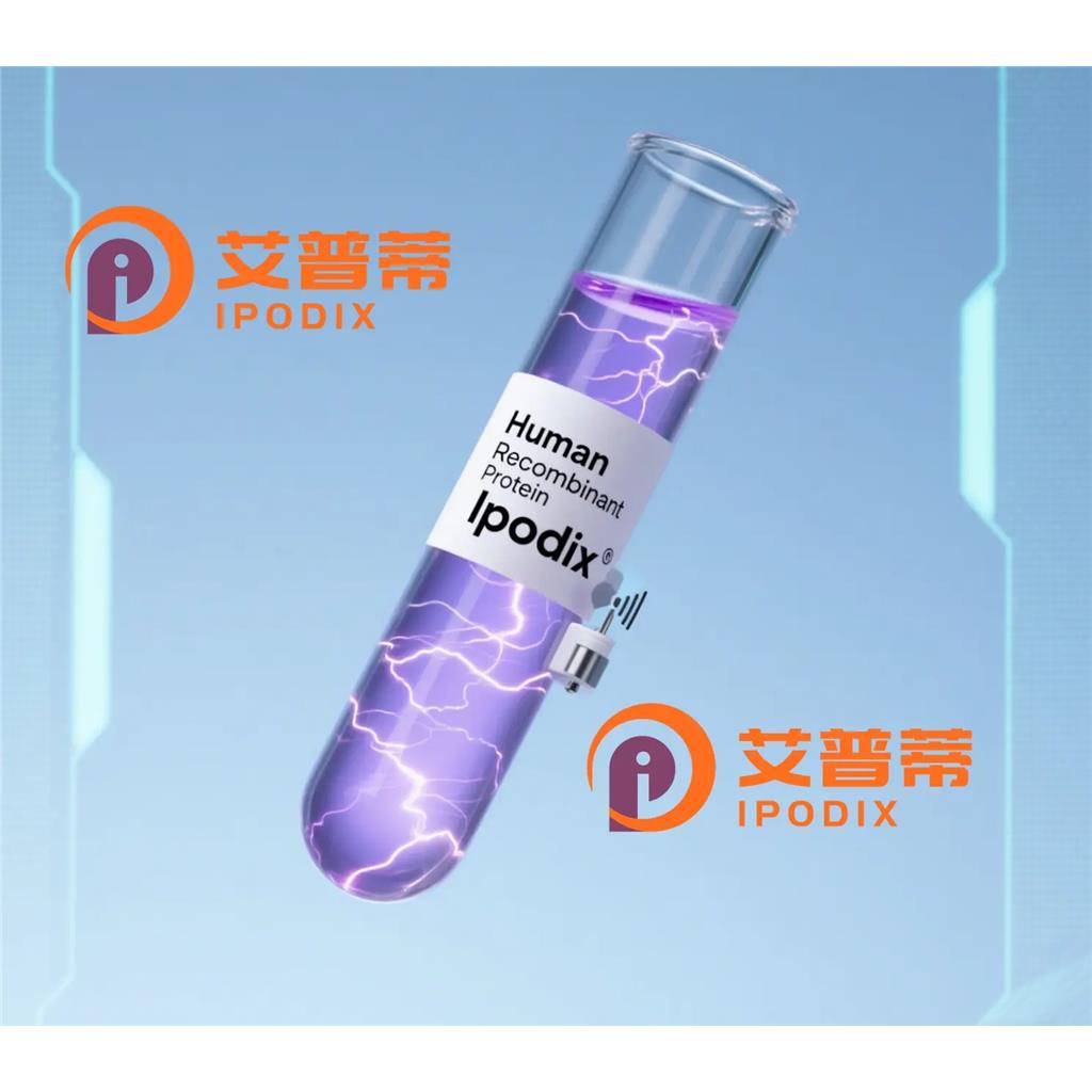 GPC3抗体