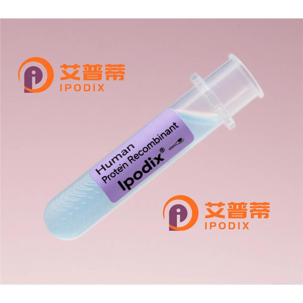 PHC1抗体