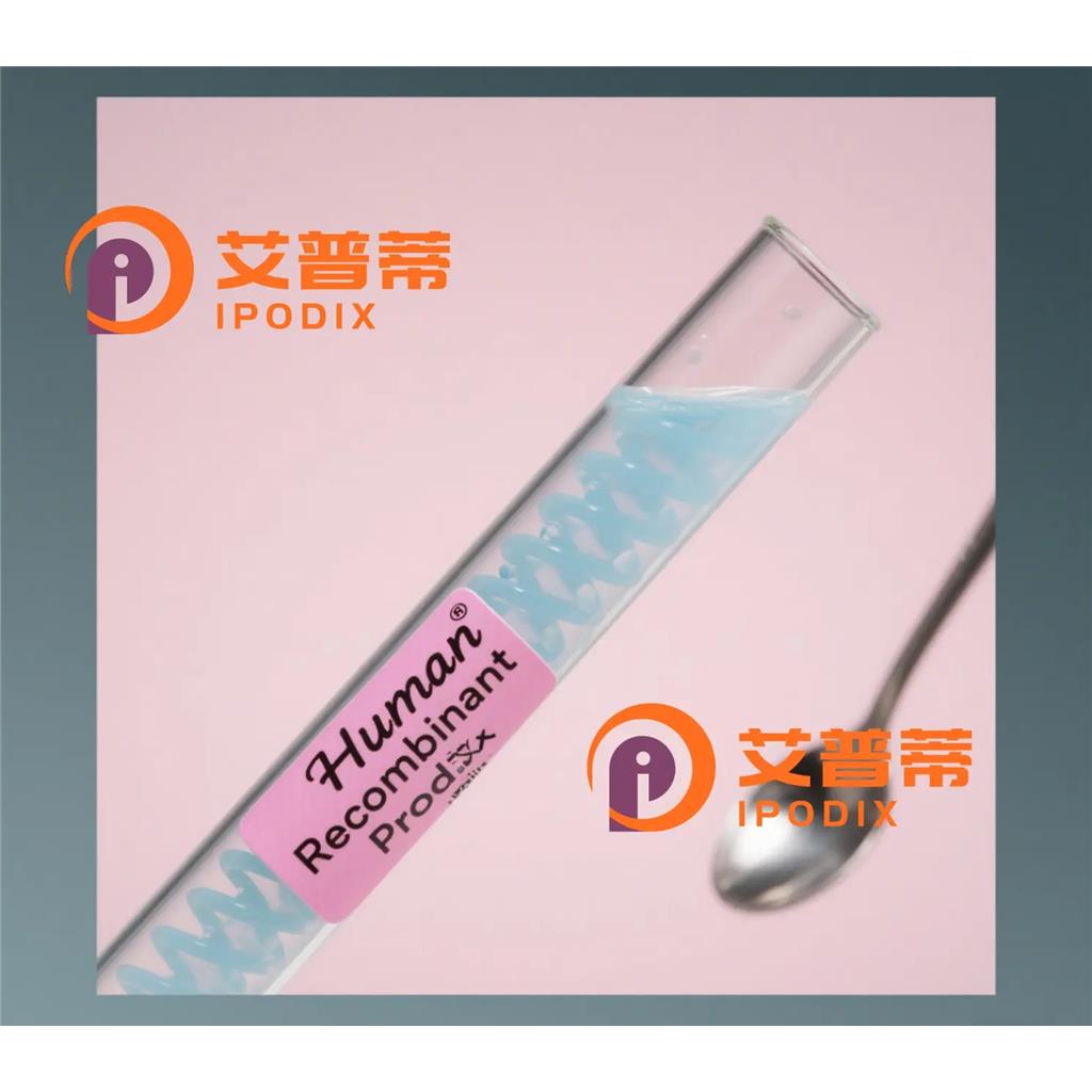 CD22抗体