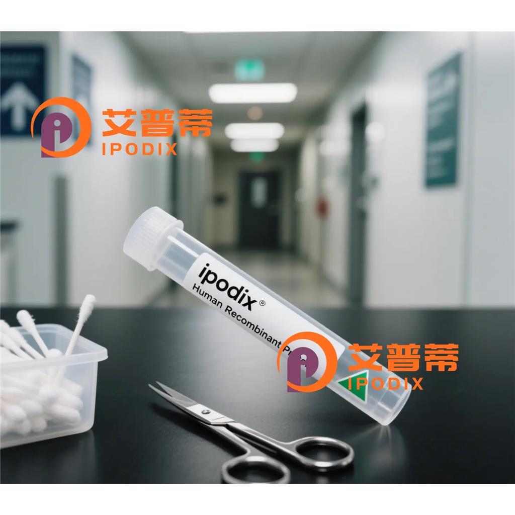 GSK3B抗体