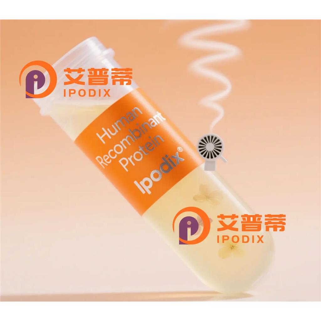 SELL抗体