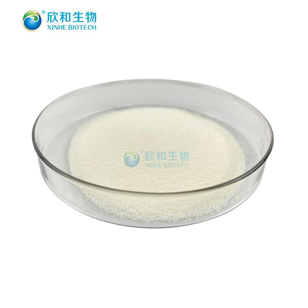 花生四烯酸粉末  10% ARA粉末 欣和生物源头厂家