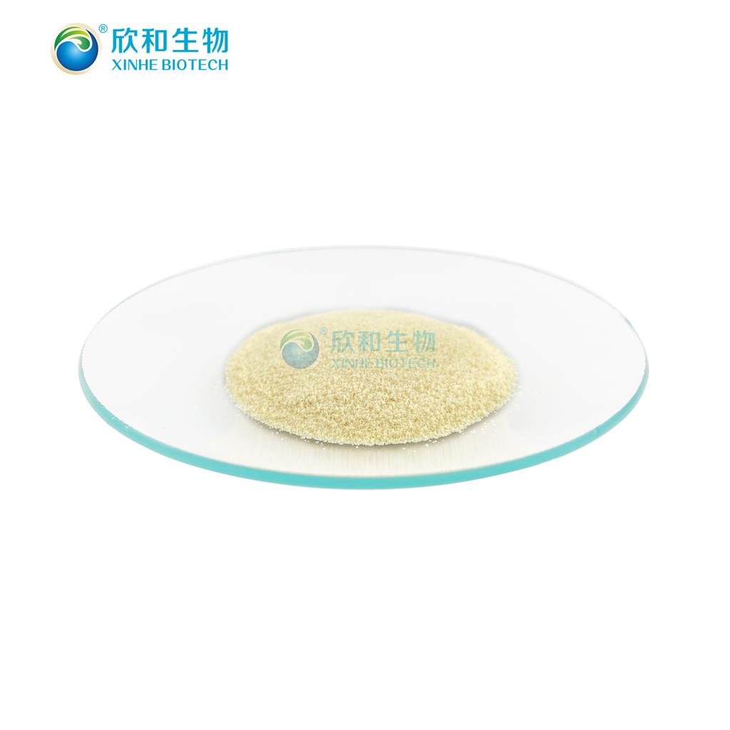 花生四烯酸粉末  10% ARA粉末 欣和生物源头厂家